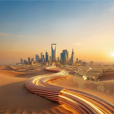 RIYADH CABLES